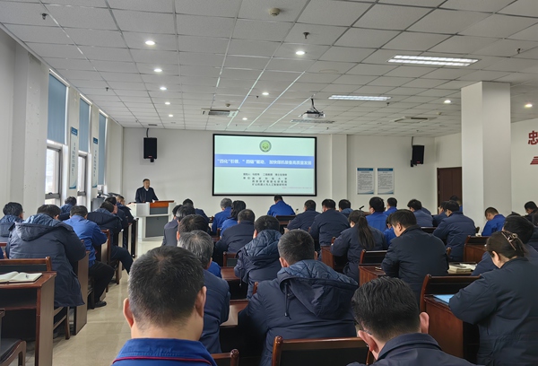 1738919880865367.jpeg 11.jpg