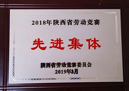 2018年陜西省勞動(dòng)競(jìng)賽先進(jìn)集體